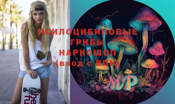 spice Арсеньев