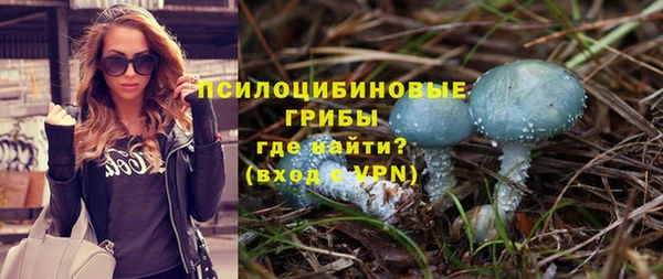 spice Арсеньев