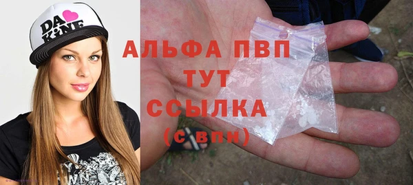 СК Аркадак