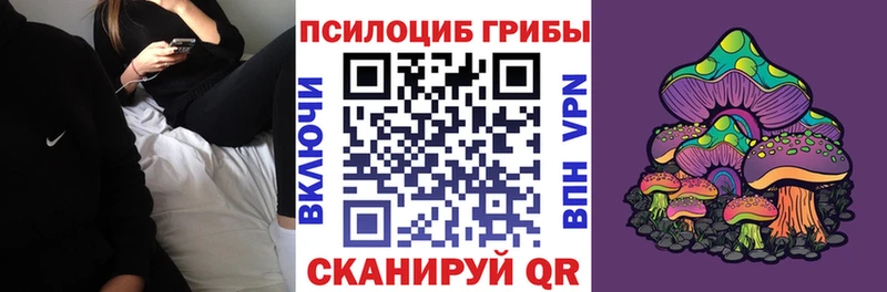 Псилоцибиновые грибы Psilocybe  магазин продажи   Октябрьск 